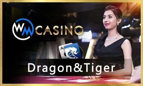 Fair Gaming Icon